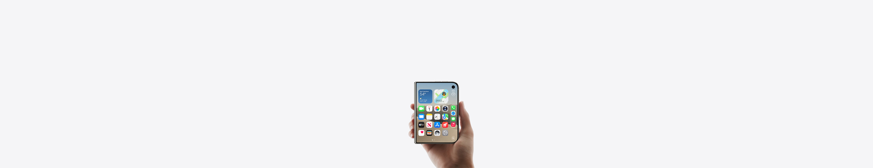 iPhone Duo